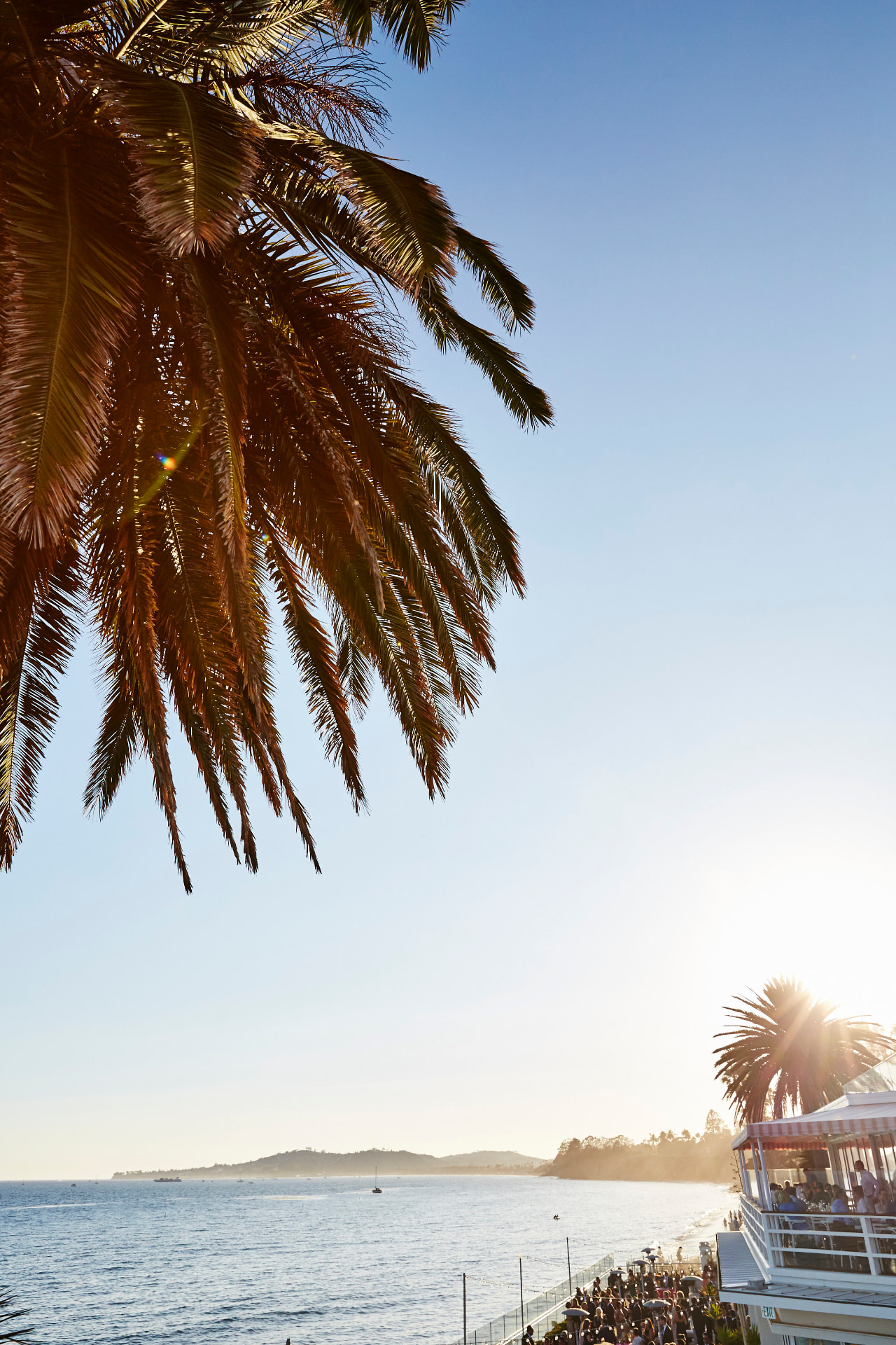 Coastal waterfront venue at sunset with palm fronds, ocean views and guests gathered on a terrace